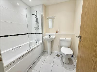 Picture 11